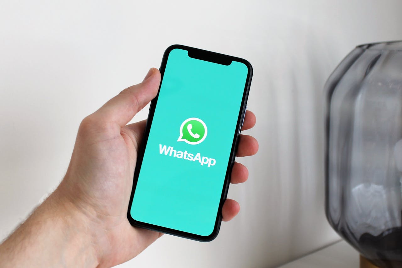 chatbot whatsapp